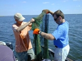 Men preparing their fishing net