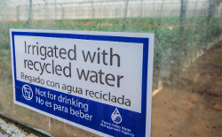 Irrigated with recycled water sign in from of greenhouse.