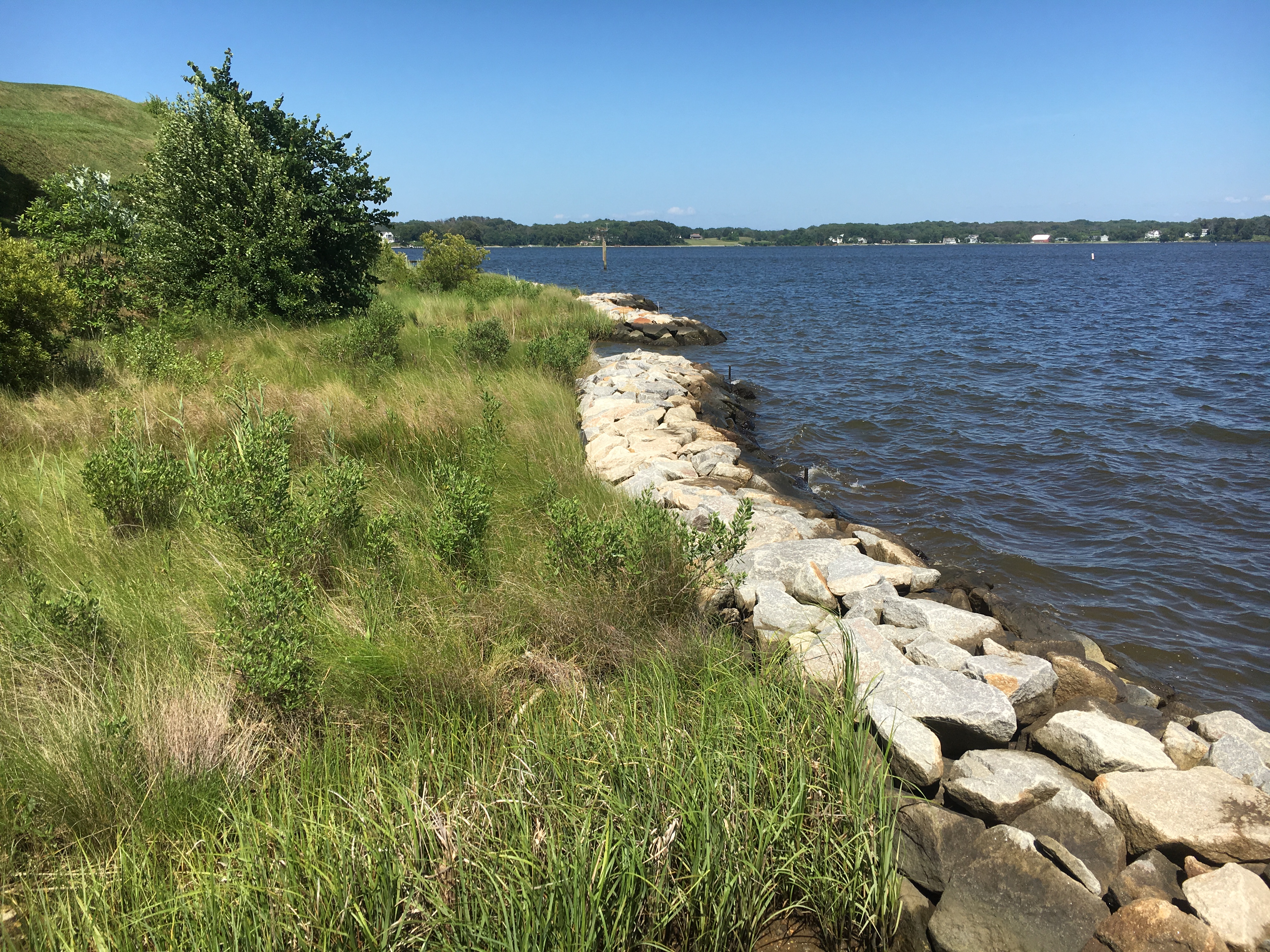 Protecting and Enhancing Shorelines website